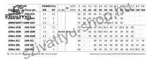 Pedrollo JSW 3CL