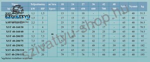 Leo XST 40-160/30